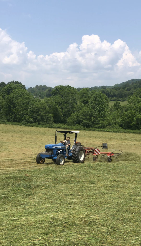 Tedding Hay